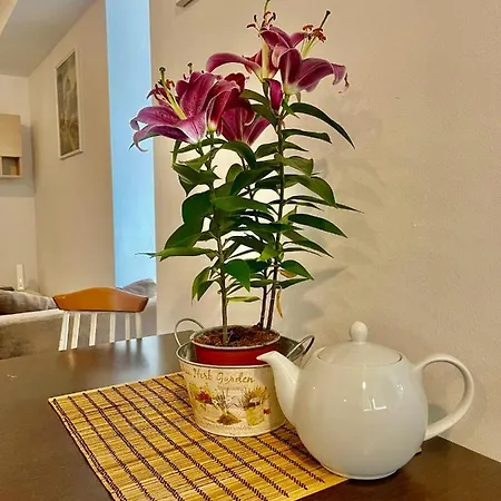 Cuza Residences